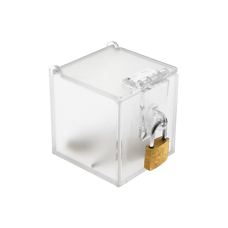 Chastity Cage Key Storage Box  - đánh giá và giá Game Storage Box